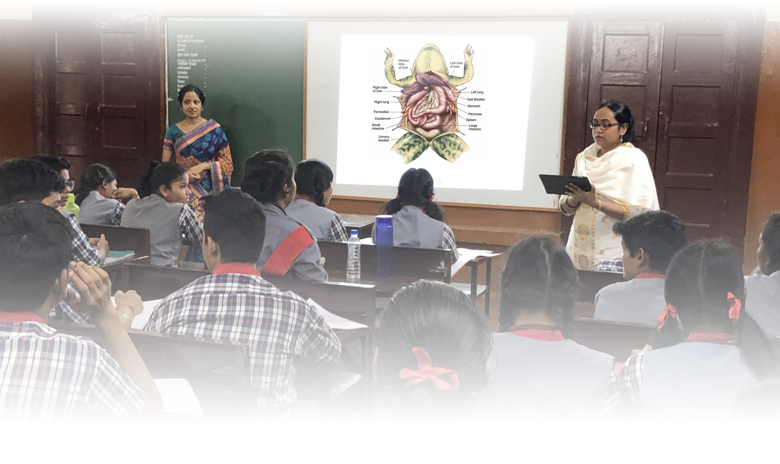 Agmatel India Private Limited